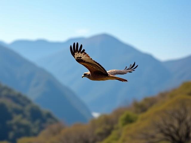 日本の空を飛ぶ鳥の動き